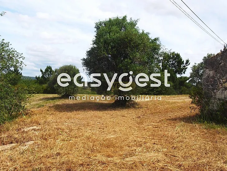 main-listing-picture-0