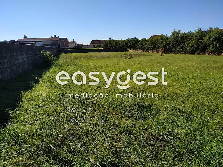 main-listing-picture-0