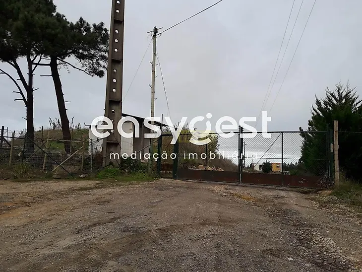 main-listing-picture-0