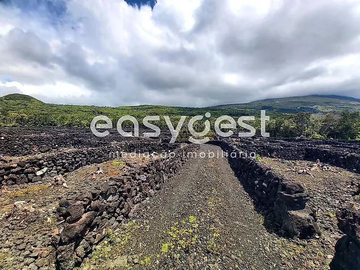 main-listing-picture-0
