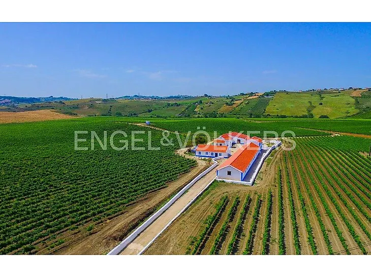 main-listing-picture-0