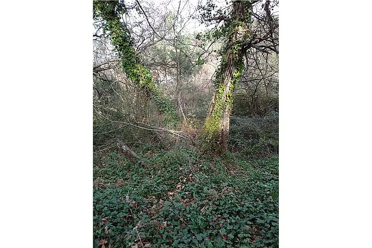 main-listing-picture-0
