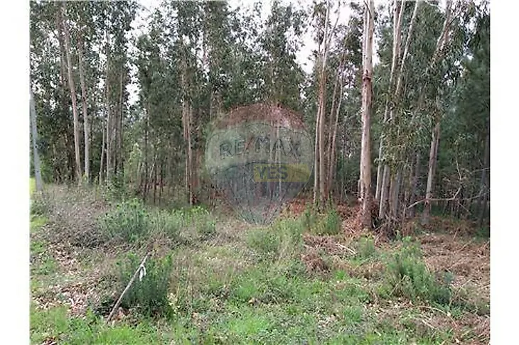 main-listing-picture-0