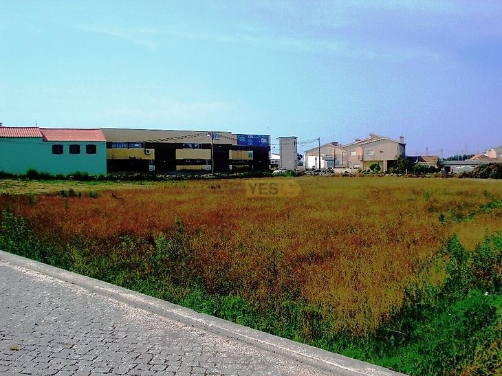 main-listing-picture-0