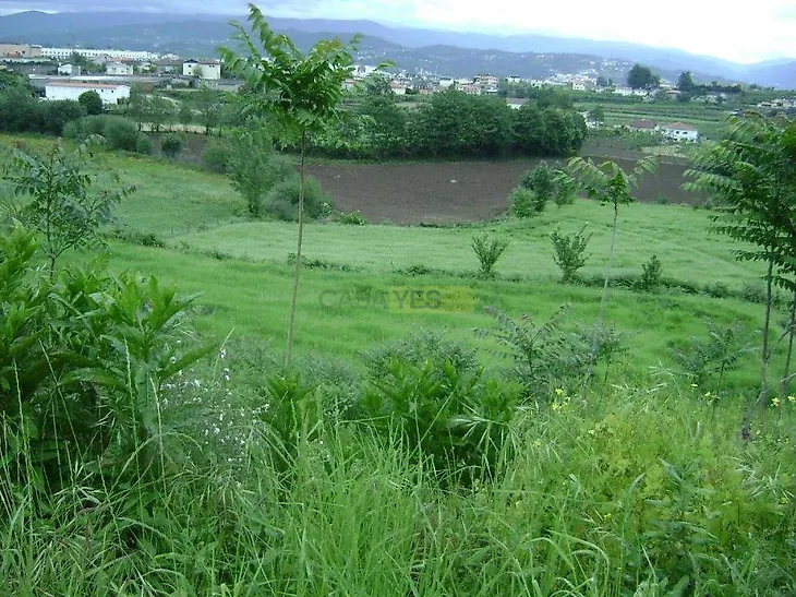 main-listing-picture-0