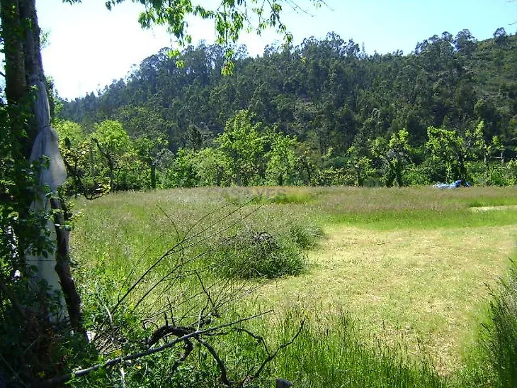 main-listing-picture-0