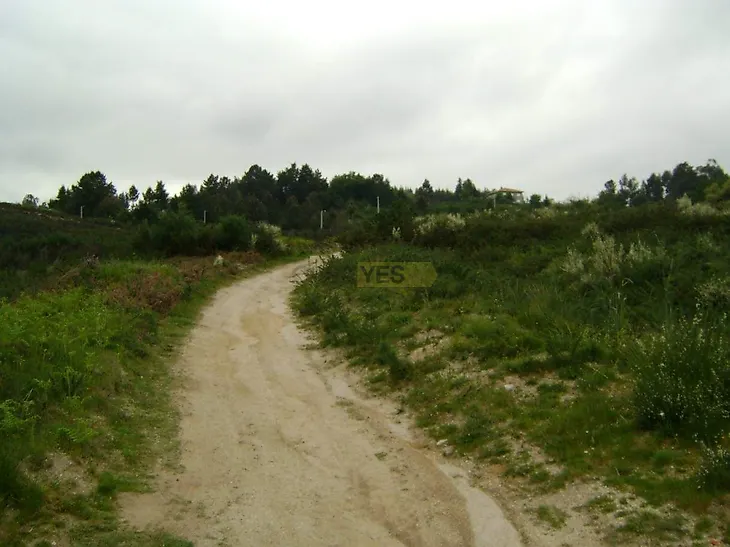 main-listing-picture-0