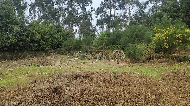 main-listing-picture-0
