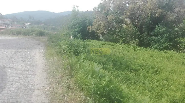 main-listing-picture-0