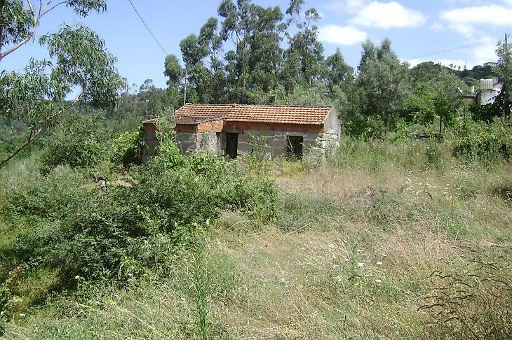 main-listing-picture-0