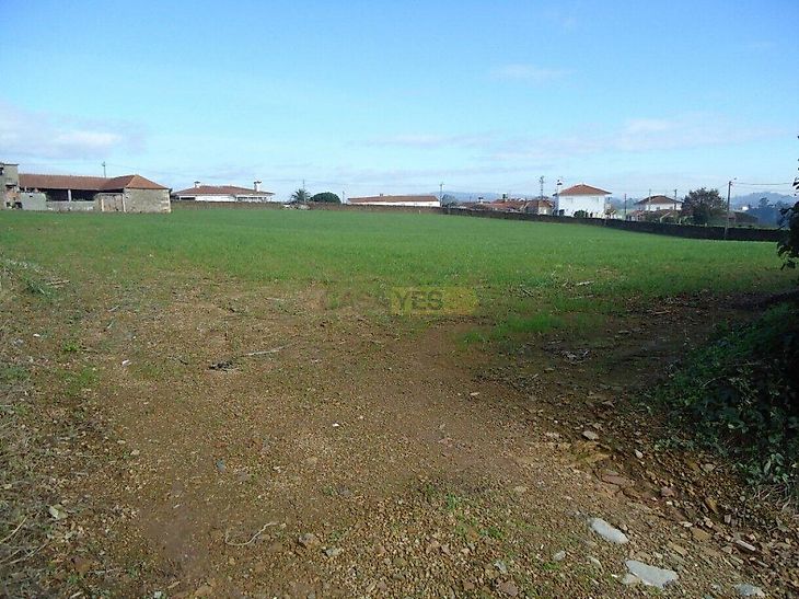 main-listing-picture-0