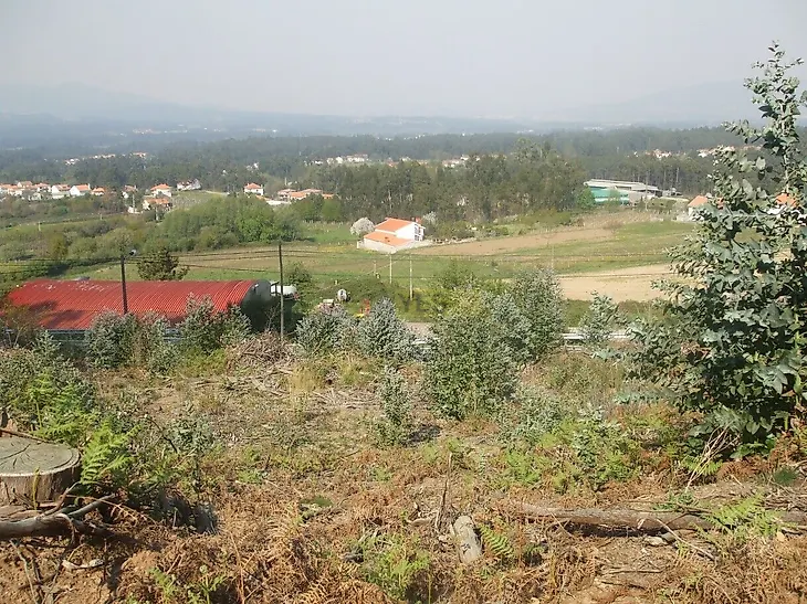 main-listing-picture-0