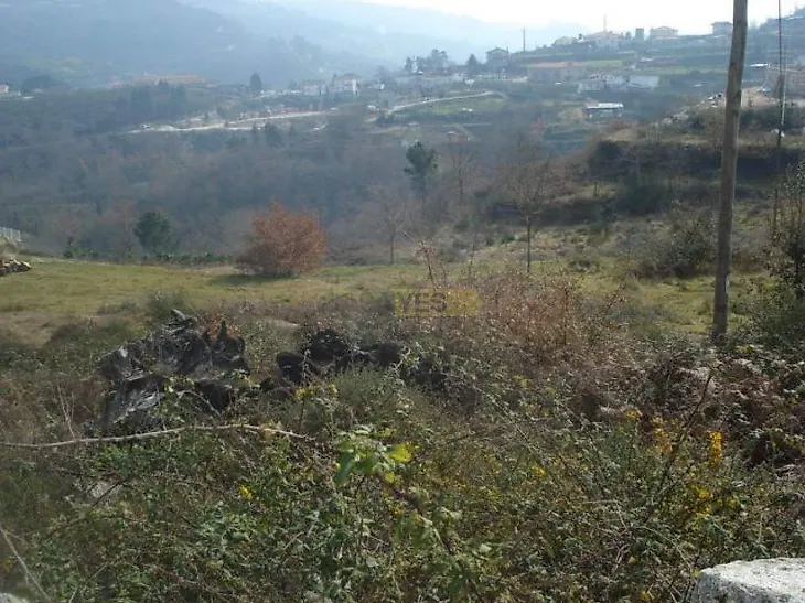 main-listing-picture-0