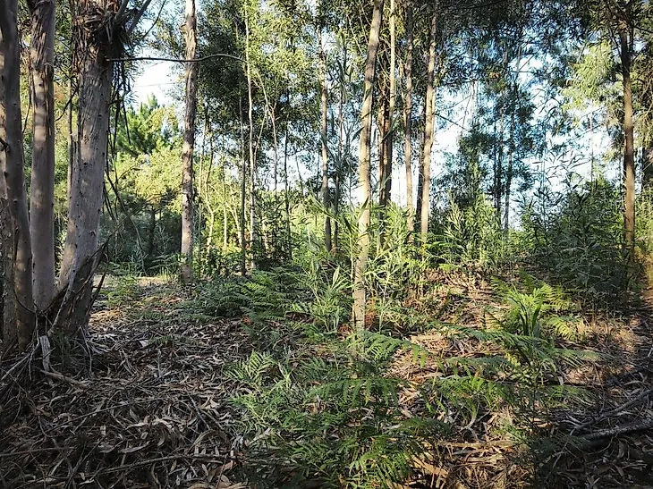 main-listing-picture-0