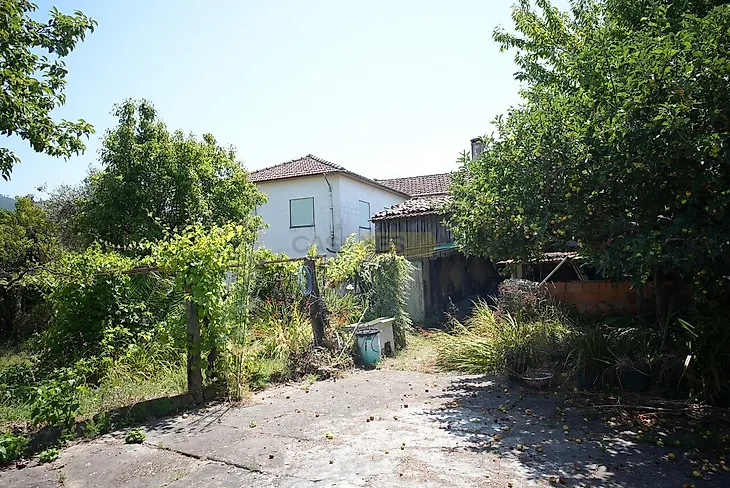 main-listing-picture-0