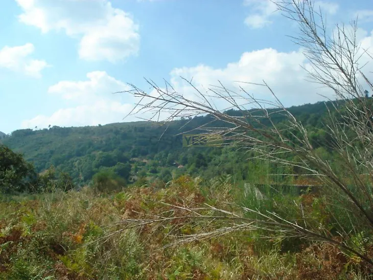 main-listing-picture-0