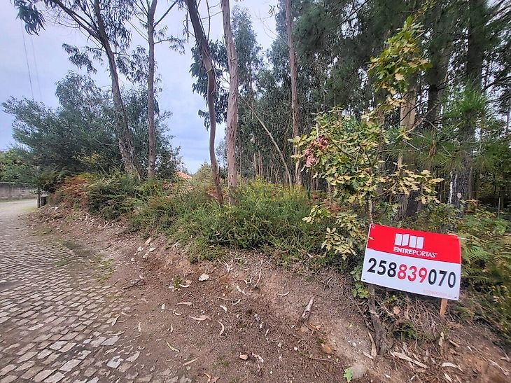 main-listing-picture-0