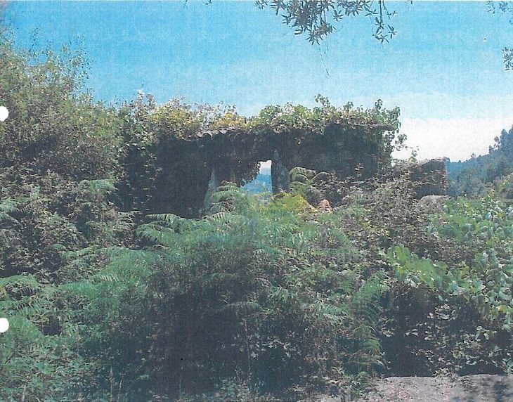 main-listing-picture-0