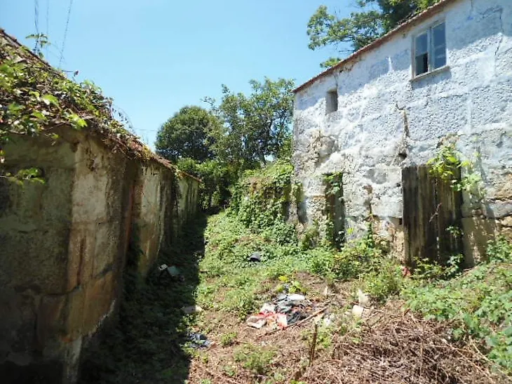 main-listing-picture-0