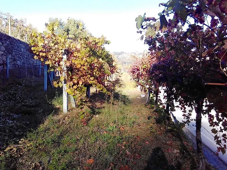 main-listing-picture-0