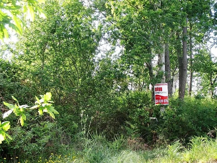 main-listing-picture-0