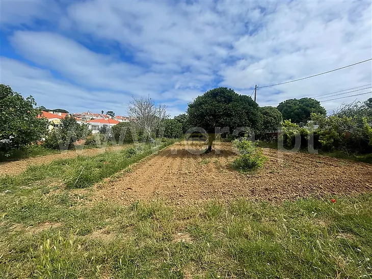 main-listing-picture-0