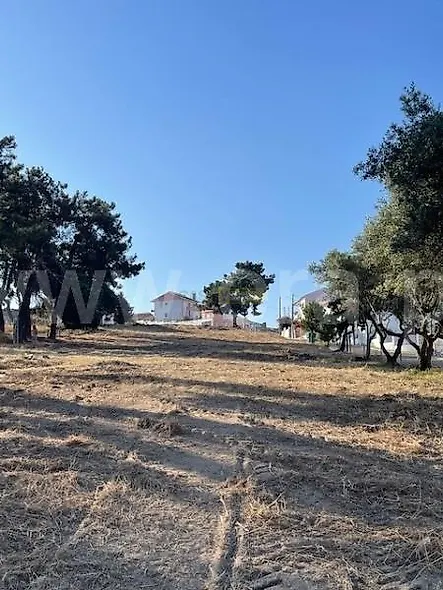 main-listing-picture-0