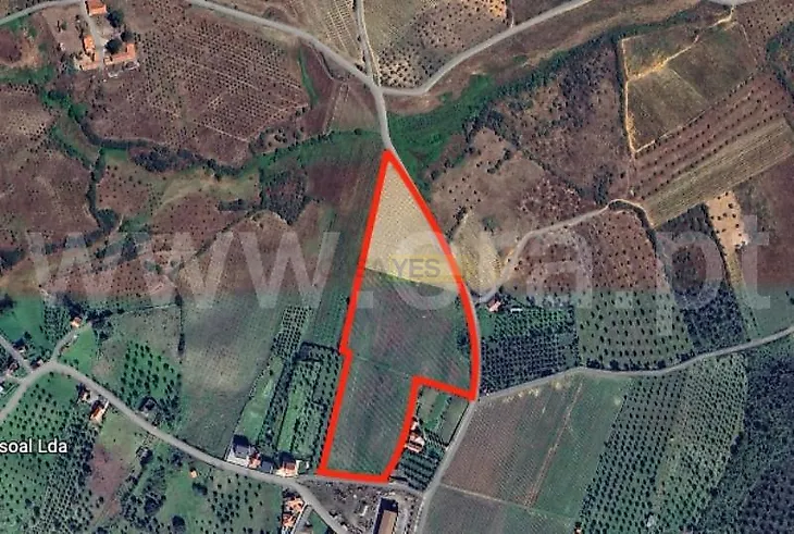 main-listing-picture-0