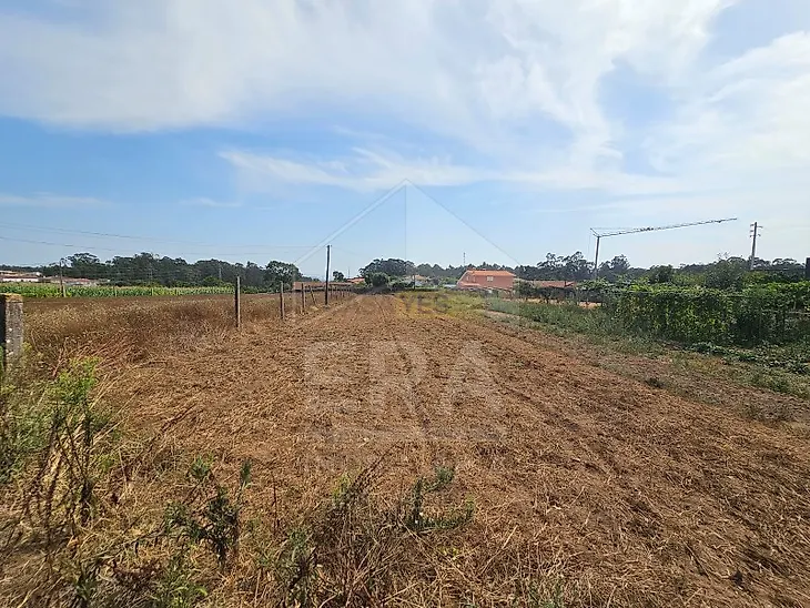 main-listing-picture-0