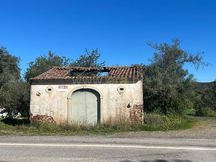 main-listing-picture-0