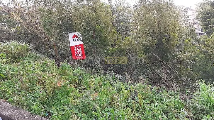 main-listing-picture-0