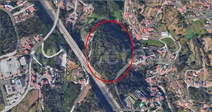 main-listing-picture-0