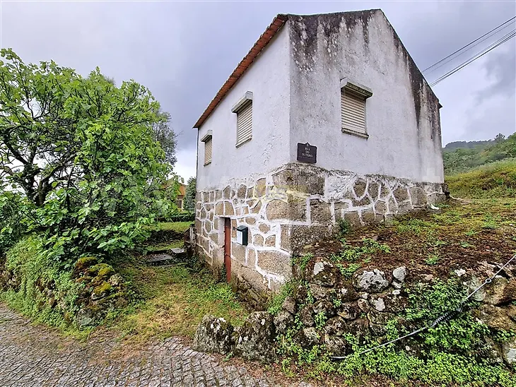 main-listing-picture-0