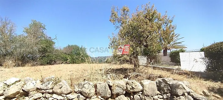 main-listing-picture-0