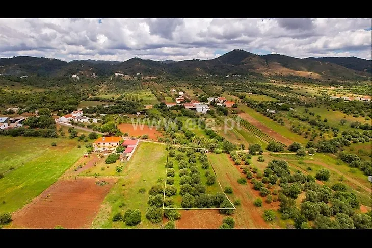 main-listing-picture-0
