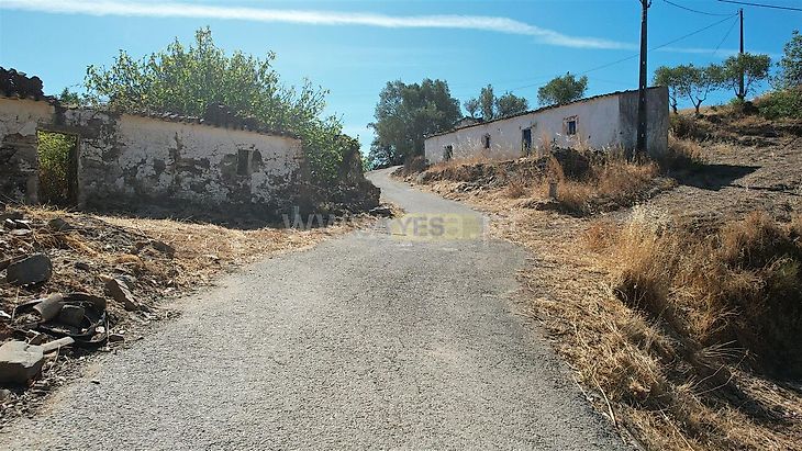 main-listing-picture-0