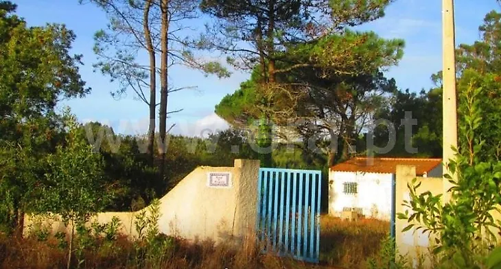 main-listing-picture-0