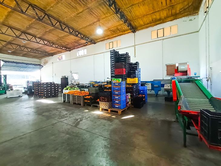 main-listing-picture-0