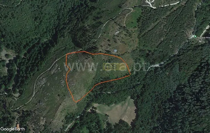 main-listing-picture-0