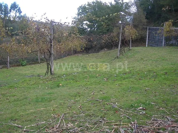 main-listing-picture-0