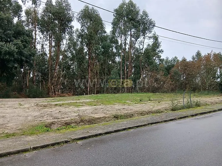 main-listing-picture-0