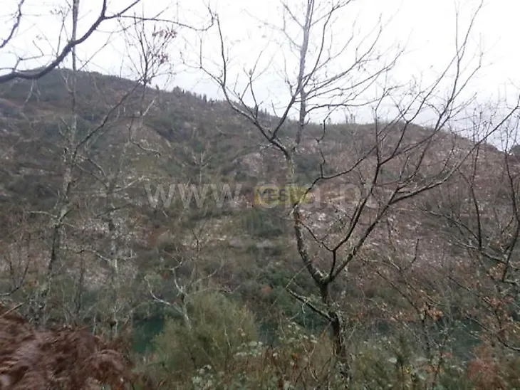 main-listing-picture-0