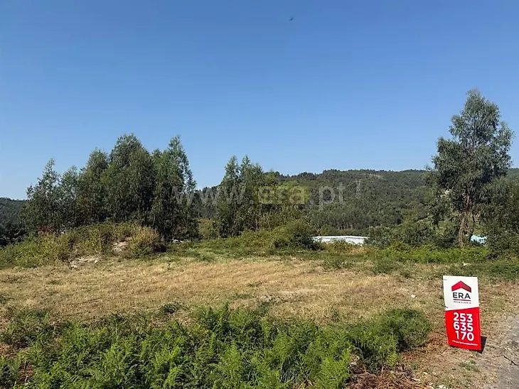 main-listing-picture-0