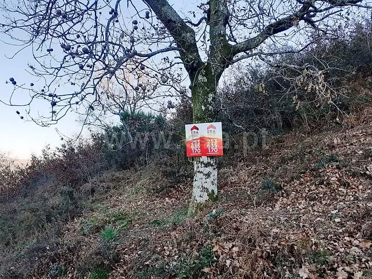 main-listing-picture-0