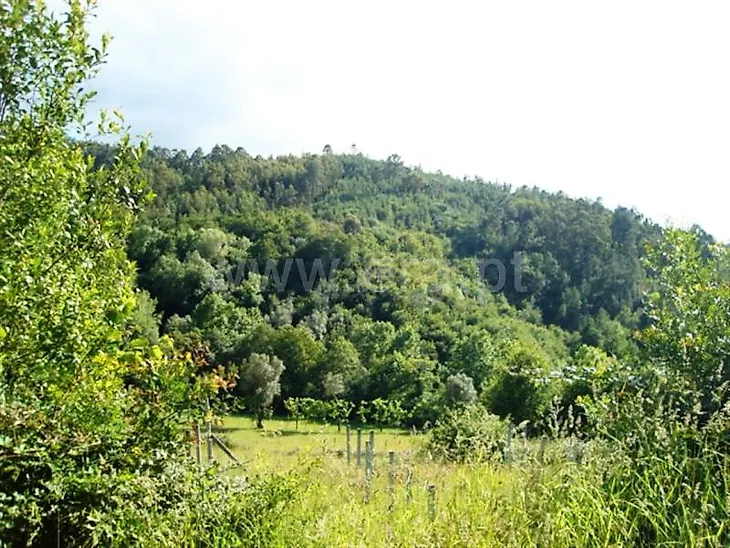 main-listing-picture-0