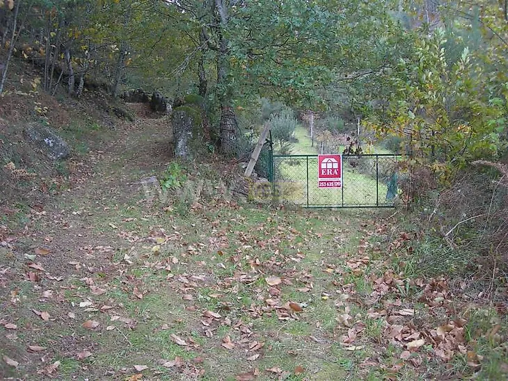 main-listing-picture-0