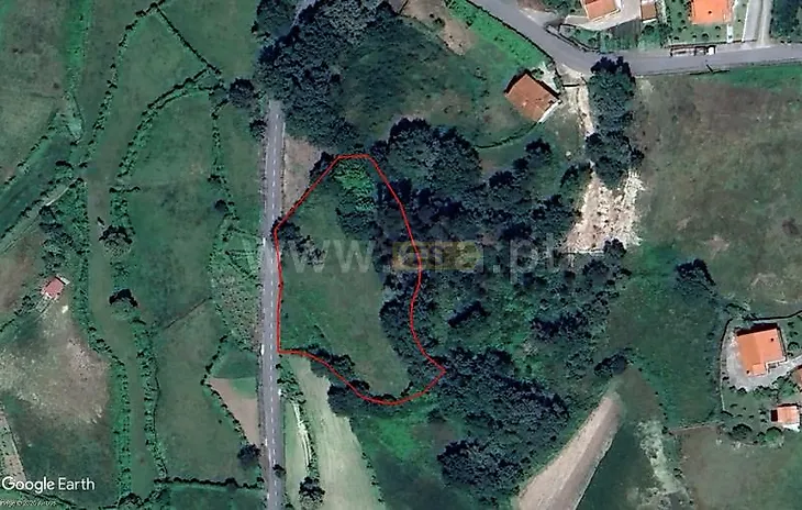 main-listing-picture-0
