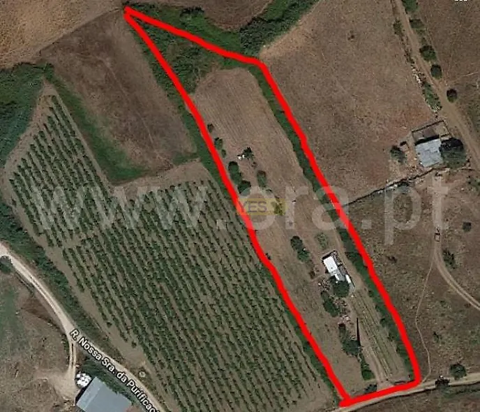main-listing-picture-0