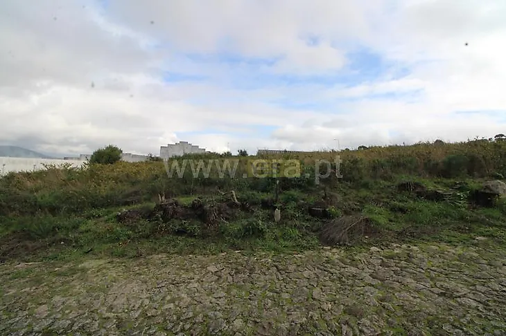 main-listing-picture-0