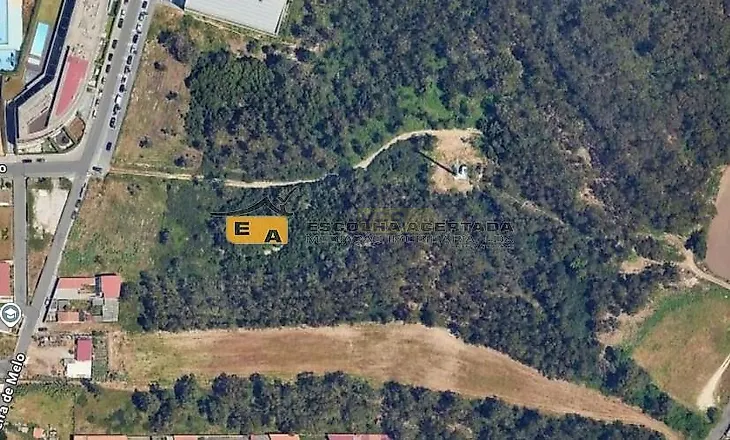 main-listing-picture-0